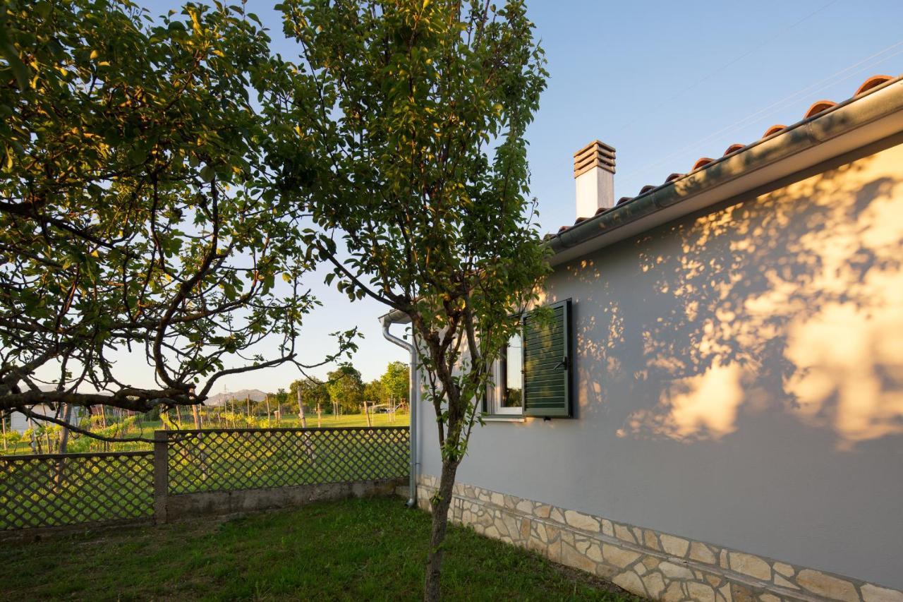 Villa Amaryllis Labin  Esterno foto